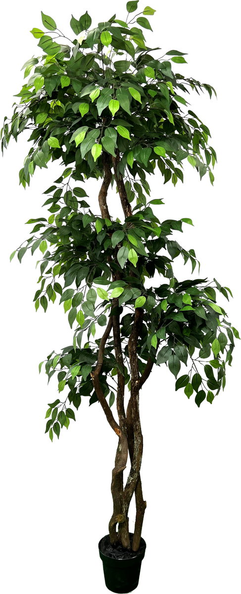 6.5' Artificial Giant Ficus Tree – Cypress and Alabaster